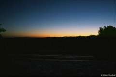 Ashdown-Forest-The-beginnings-of-the-dawn