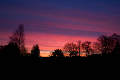 Ashdown-Forest-winter