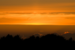 Ashdown-summer-sunset