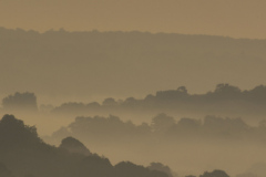 Hazy-Sunrise-over-Ashdown-F