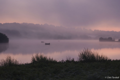 Summer-Morning