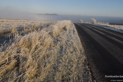 Northumberland-Frost